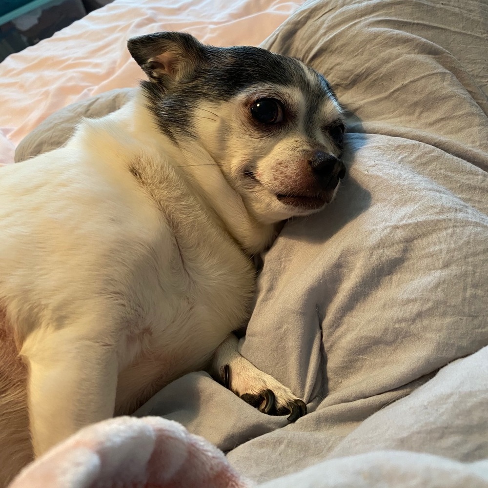 Hi! I’m EllaGrace!